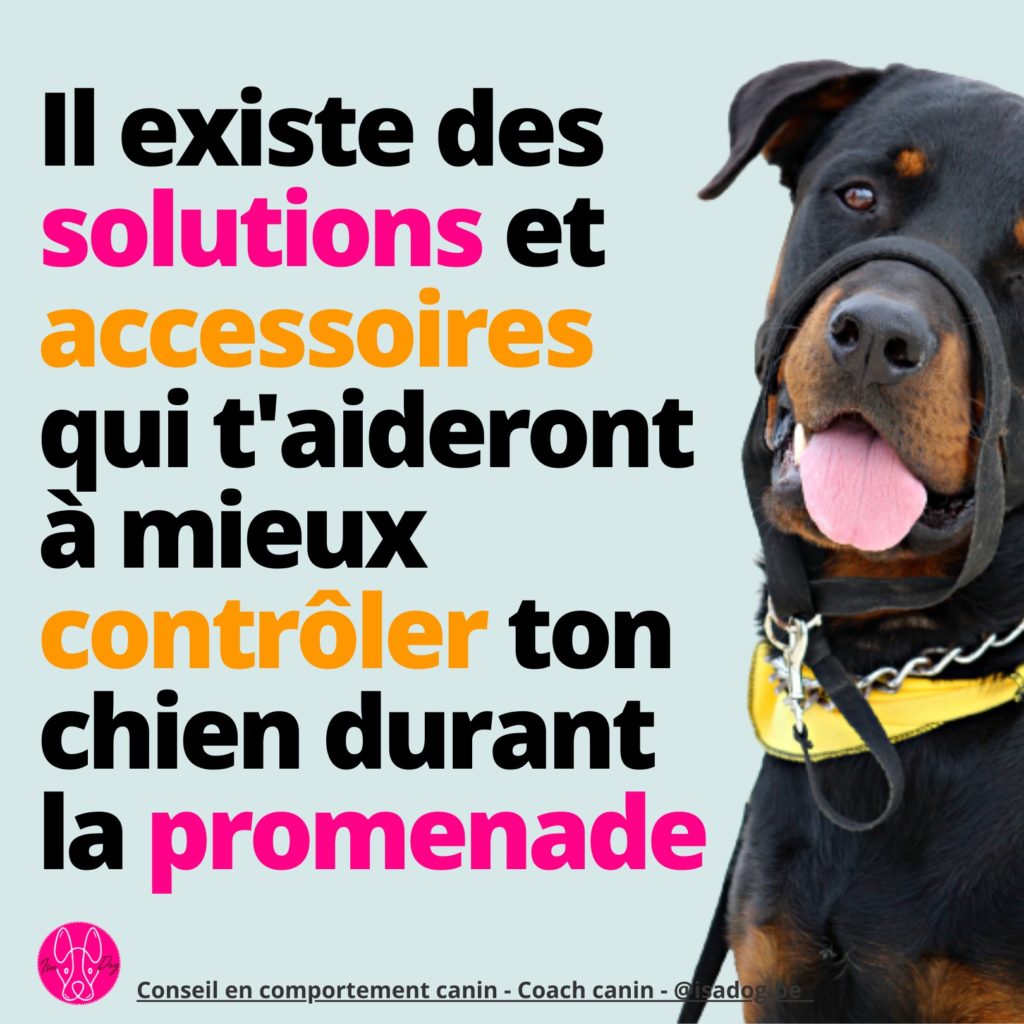 marche en laisse solution