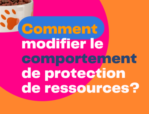 comment modifier la protection de ressources chez le chien