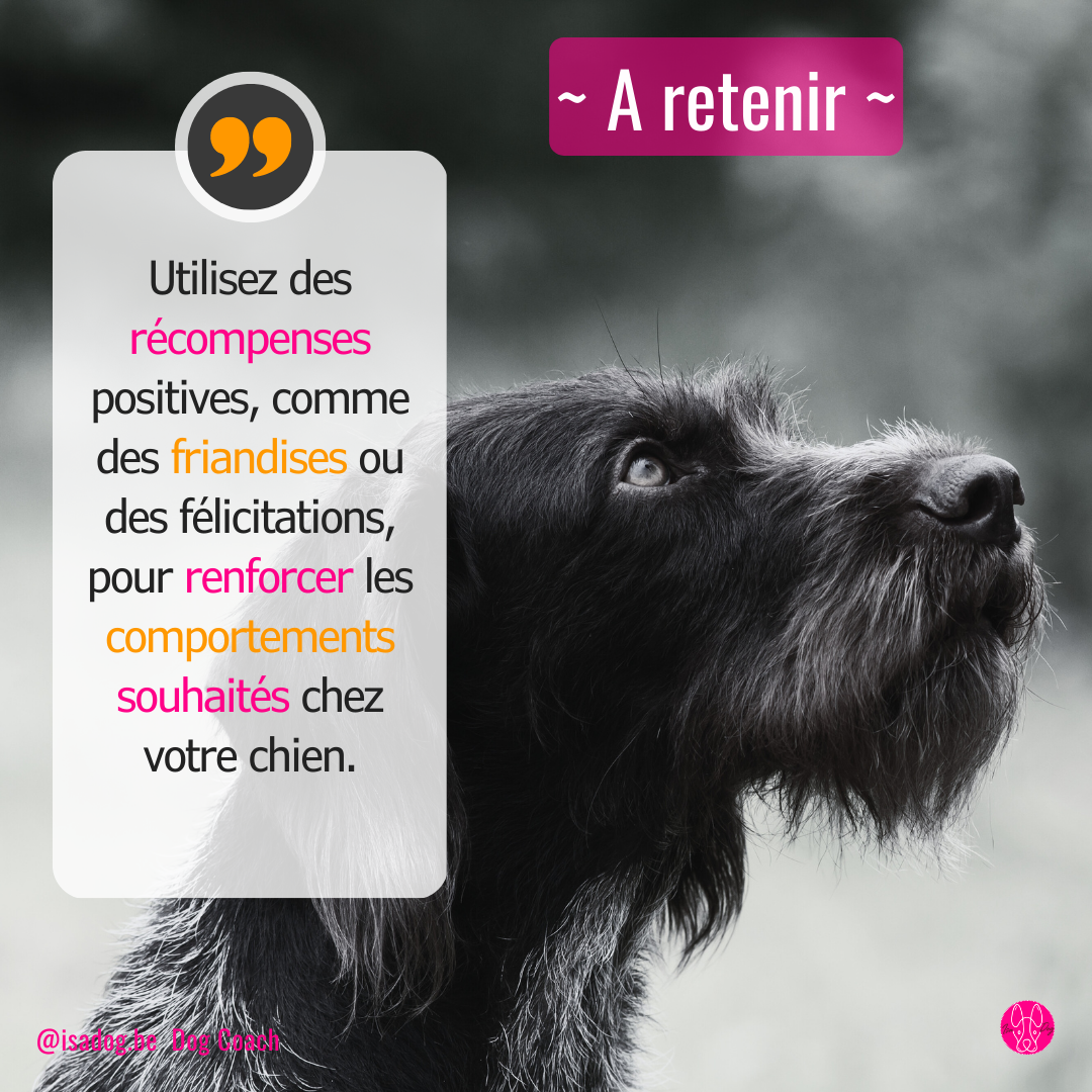 comment renforcer ses comportements ?