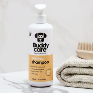 shampooing pour chien