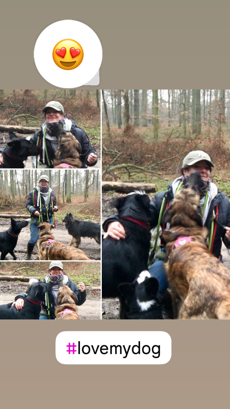 B1A11F85-244B-44E4-A77C-EC48507655DD