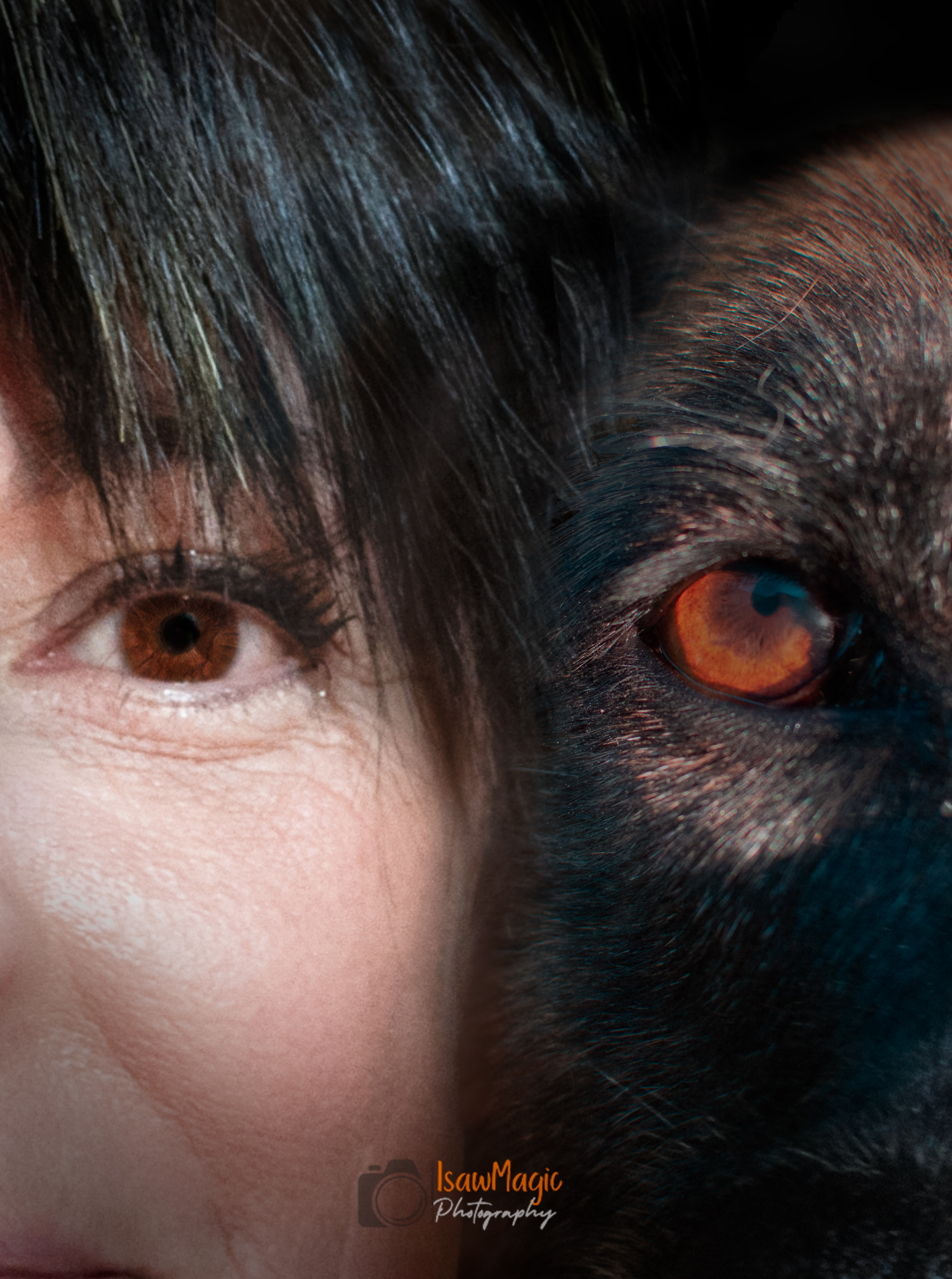 isadog Dog coaching Isabelle - Dog coaching- Isadog.be